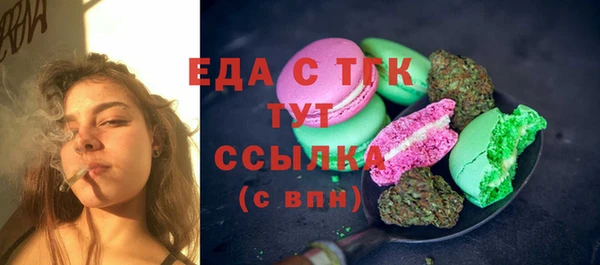 сатива Новозыбков