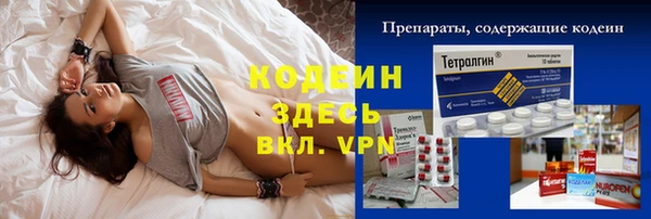 сатива Новозыбков