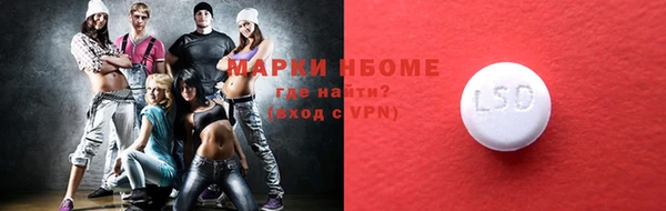 сатива Новозыбков