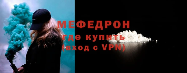 сатива Новозыбков