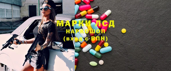 сатива Новозыбков
