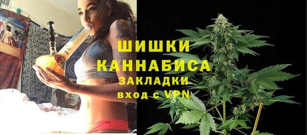 спайс Нягань