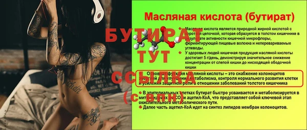 сатива Новозыбков