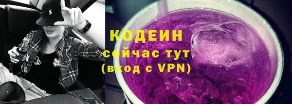 сатива Новозыбков