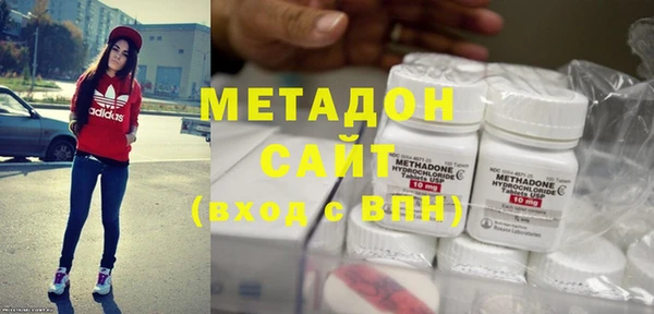 сатива Новозыбков