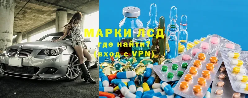 купить   Кедровый  Лсд 25 экстази ecstasy 