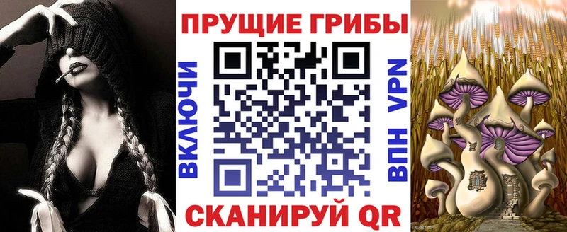 Псилоцибиновые грибы Magic Shrooms Кедровый
